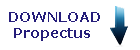 Download Propectus IIPM